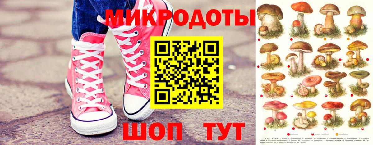 Псилоцибиновые грибы Magic Shrooms  Вход с VPN  Лесной 